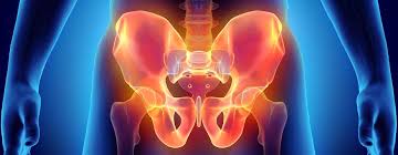 Pelvic Floor Physical Therapy